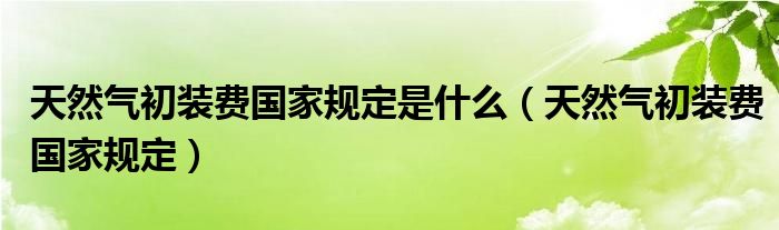 天然气初装费国家规定是什么(天然气初装费国家规定)