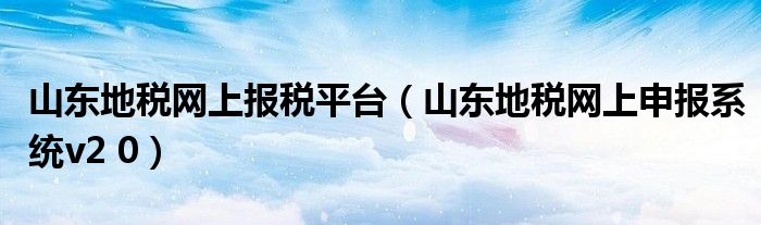 山东地税网上报税平台(山东地税网上申报系统v2 0)