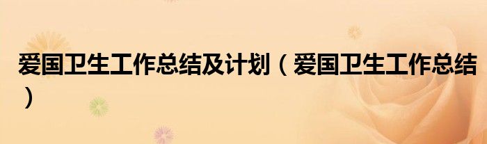 爱国卫生工作总结及计划(爱国卫生工作总结)