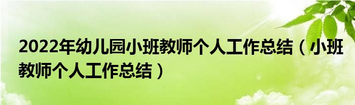2022年幼儿园小班教师个人工作总结(小班教师个人工作总结)