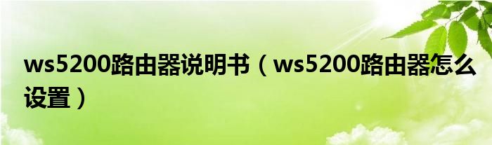 ws5200路由器说明书(ws5200路由器怎么设置)