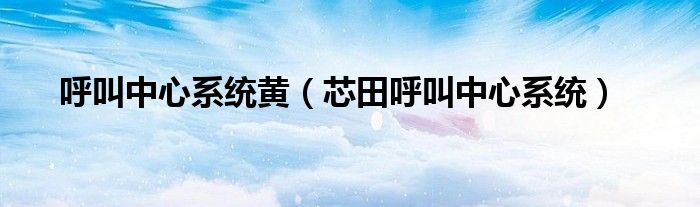 呼叫中心系统黄(芯田呼叫中心系统)
