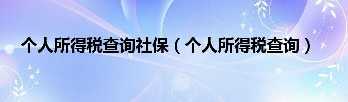 个人所得税查询社保(个人所得税查询)