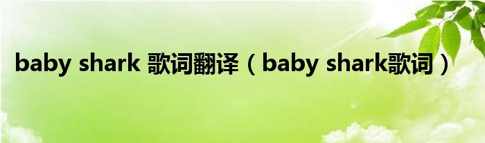 baby shark 歌词翻译(baby shark歌词)