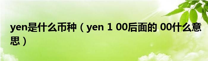 yen是什么币种(yen 1 00后面的 00什么意思)