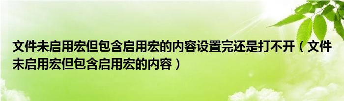 文件未启用宏但包含启用宏的内容设置完还是打不开(文件未启用宏但包含启用宏的内容)