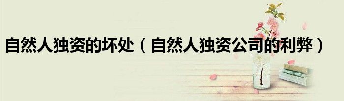 自然人独资的坏处(自然人独资公司的利弊)