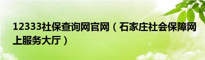 12333社保查询网官网(石家庄社会保障网上服务大厅)