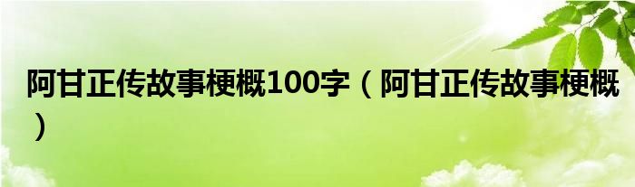 阿甘正传故事梗概100字(阿甘正传故事梗概)