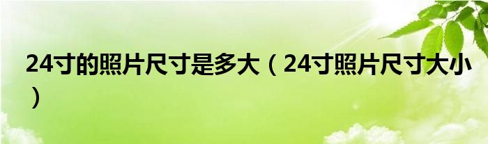 24寸的照片尺寸是多大(24寸照片尺寸大小)