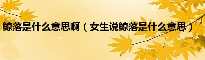 鲸落是什么意思啊(女生说鲸落是什么意思)