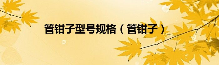 管钳子型号规格（管钳子）