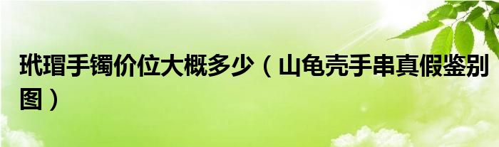 玳瑁手镯价位大概多少(山龟壳手串真假鉴别图)