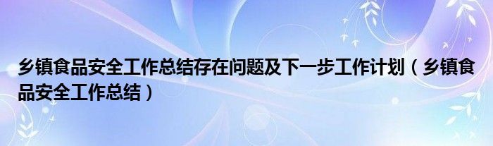 乡镇食品安全工作总结存在问题及下一步工作计划(乡镇食品安全工作总结)