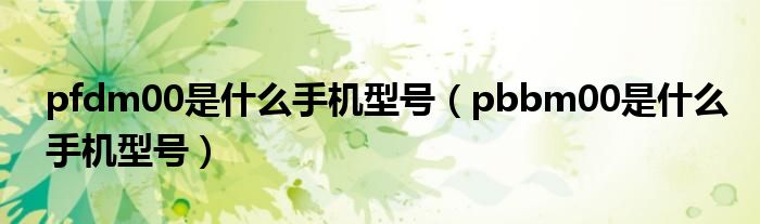 pfdm00是什么手机型号(pbbm00是什么手机型号)