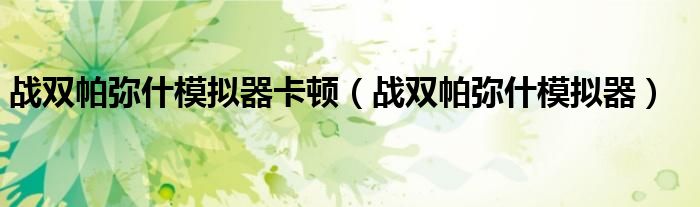 战双帕弥什模拟器卡顿(战双帕弥什模拟器)