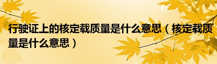 行驶证上的核定载质量是什么意思(核定载质量是什么意思)