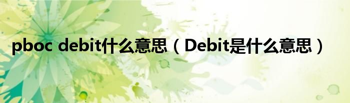 pboc debit什么意思(Debit是什么意思)