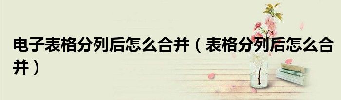 电子表格分列后怎么合并(表格分列后怎么合并)