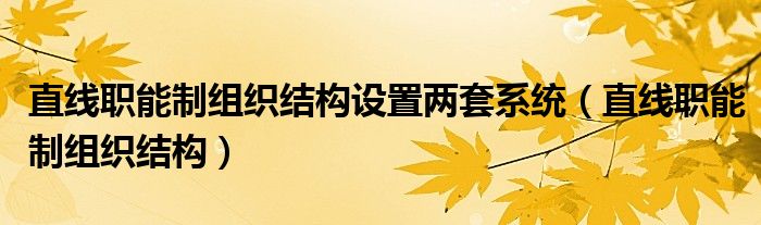 直线职能制组织结构设置两套系统(直线职能制组织结构)