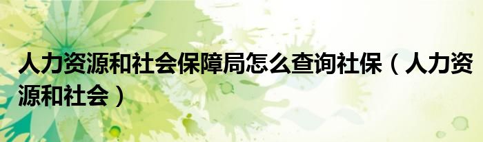 人力资源和社会保障局怎么查询社保(人力资源和社会)