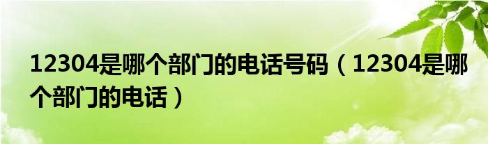 12304是哪个部门的电话号码(12304是哪个部门的电话)