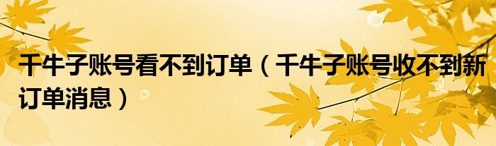 千牛子账号看不到订单(千牛子账号收不到新订单消息)