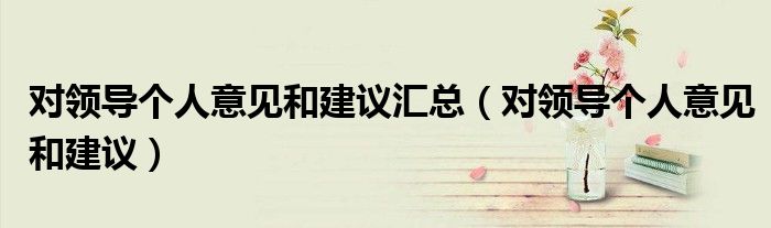 对领导个人意见和建议汇总(对领导个人意见和建议)