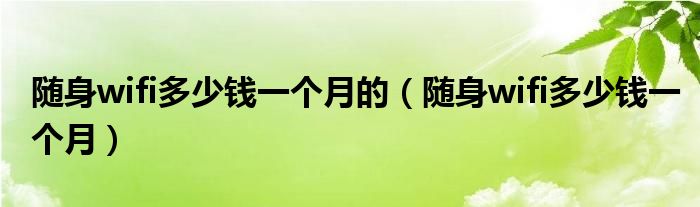 随身wifi多少钱一个月的(随身wifi多少钱一个月)