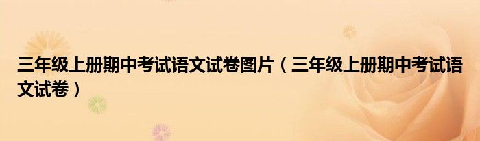 三年级上册期中考试语文试卷图片(三年级上册期中考试语文试卷)