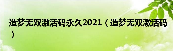 造梦无双激活码永久2021(造梦无双激活码)