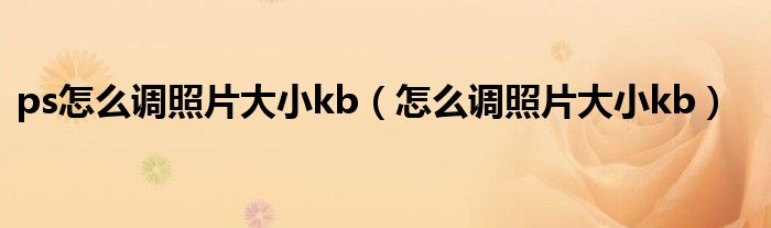 ps怎么调照片大小kb(怎么调照片大小kb)