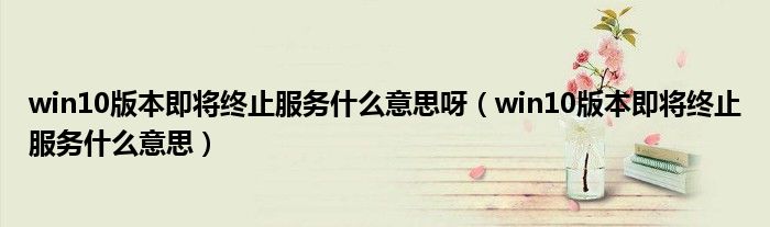 win10版本即将终止服务什么意思呀(win10版本即将终止服务什么意思)