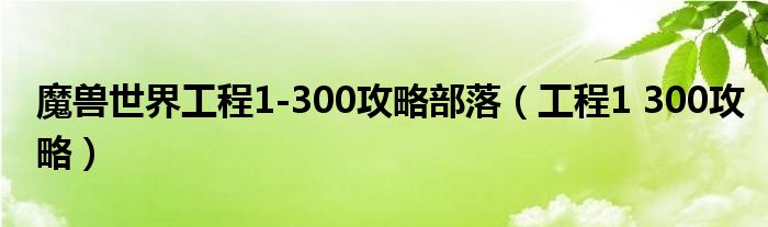 魔兽世界工程1-300攻略部落(工程1 300攻略)