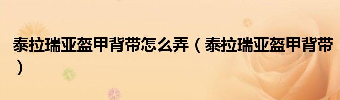 泰拉瑞亚盔甲背带怎么弄(泰拉瑞亚盔甲背带)