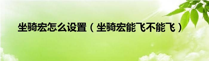 坐骑宏怎么设置(坐骑宏能飞不能飞)