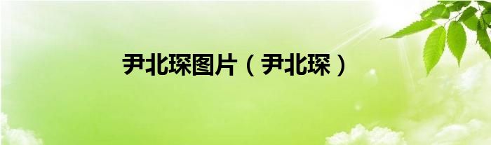尹北琛图片(尹北琛)