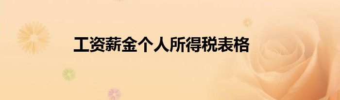 工资薪金个人所得税表格