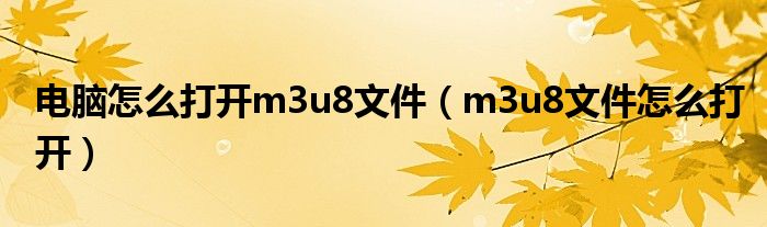 电脑怎么打开m3u8文件(m3u8文件怎么打开)