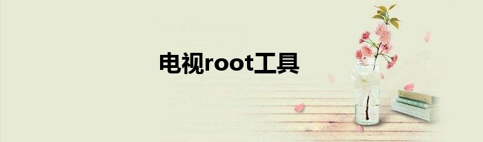 电视root工具