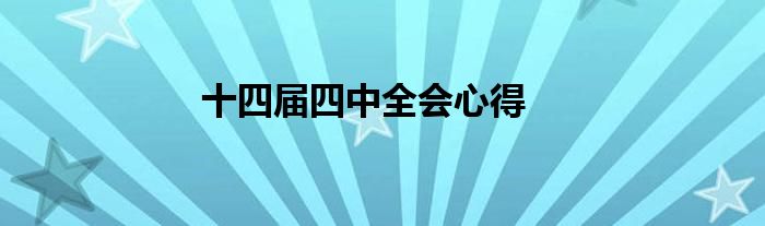 十四届四中全会心得