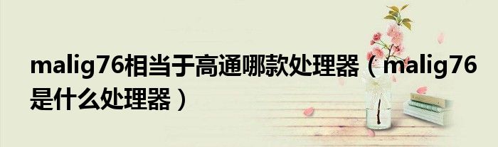malig76相当于高通哪款处理器(malig76是什么处理器)
