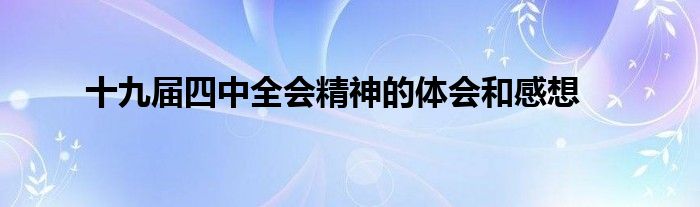 十九届四中全会精神的体会和感想