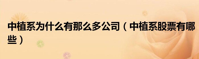 中植系为什么有那么多公司(中植系股票有哪些)