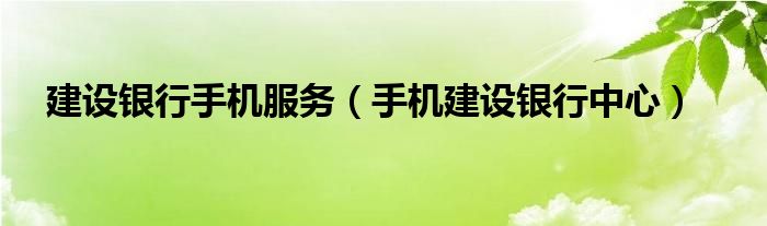 建设银行手机服务(手机建设银行中心)