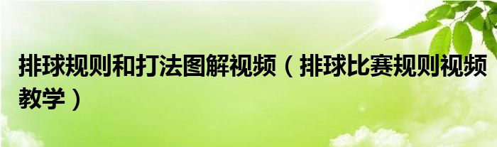排球规则和打法图解视频(排球比赛规则视频教学)