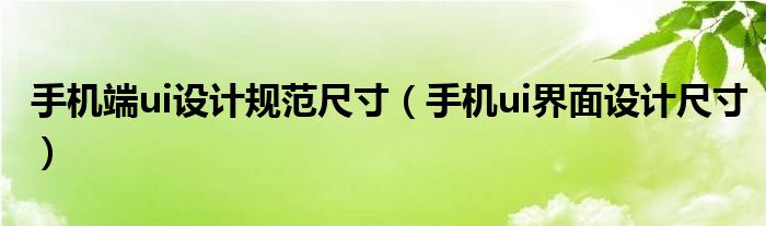 手机端ui设计规范尺寸(手机ui界面设计尺寸)