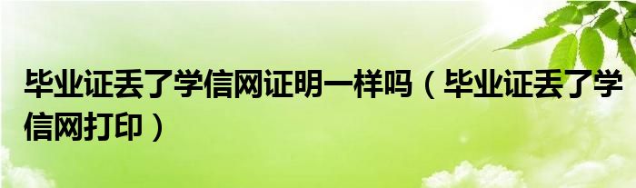 毕业证丢了学信网证明一样吗(毕业证丢了学信网打印)