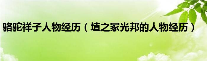 骆驼祥子人物经历(埴之冢光邦的人物经历)