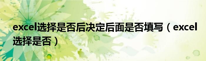 excel选择是否后决定后面是否填写(excel选择是否)